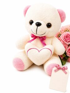 Sweetheart Plush Teddy Bear Gift Set – Cream & Pink Bear with Heart Accent