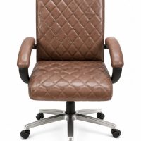 Executive Ergonomic Office Chair with 360° Swivel Wheels