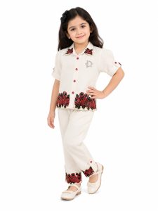 Girls Embroidered Shirt and Pant Co-Ord Set NARS0001