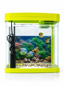 Xilong Glass Aquarium Fish Tank with Filter PumpNARP0276