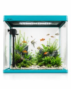 LED Glass Aquarium Fish Tank with Internal Filter System NARP0267