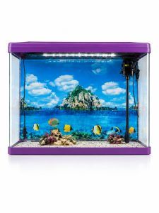 LED Aquarium Fish Tank with Internal Filter and Decorative Background NARP0266