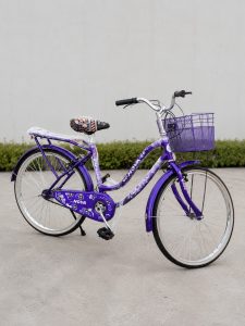 NOVA Stylish Purple Bicycle NARP0379