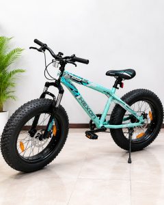 Hexon Fat Tire Mountain Bike NARP0380