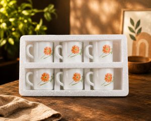 6 Pcs Ceramic Coffee Mug Set NARS0067