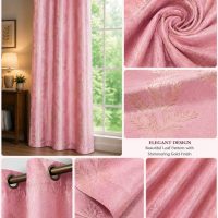 WhatsApp Image 2026-07-01 at 1.51.31 PM