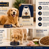 WhatsApp Image 2026-07-01 at 3.58.30 PM