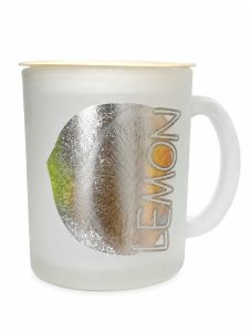 Frosted Glass Mug with Handle NARK732